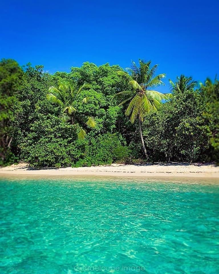 L'escale Tropicale